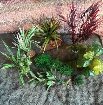 Dekoracia do akvaria & teraria 8€ / ks