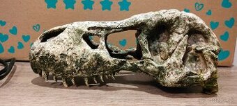 Dekorácia akvárium terárium T Rex