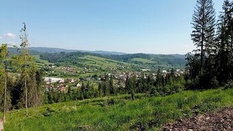 Raková – Spoluvlastnícke podiely na lesoch a lúkach