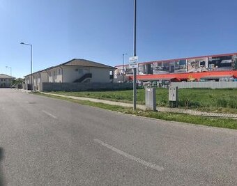 Prenajmem pozemok na predaj vianočných stromčekov🌲🌲🌲