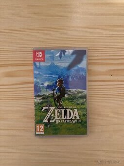 Zelda TOTK, Zelda BOTW