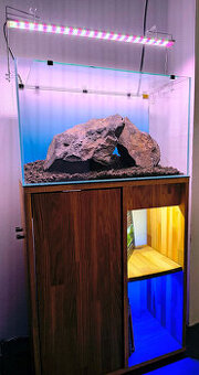 Optiwhite akvárium na dubovej skrinke s komp inšt.