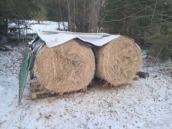 Predam seno balík 120cm  2ks