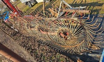 Slniečková hrabačka