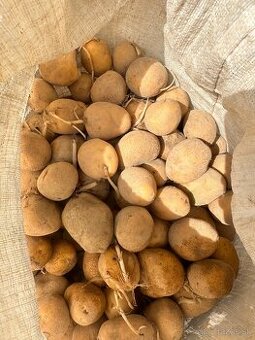 Predám vyradenú sadbu