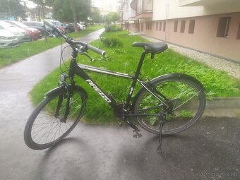Bicykel Arezzo "19