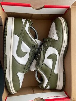 Nike dunk retro green