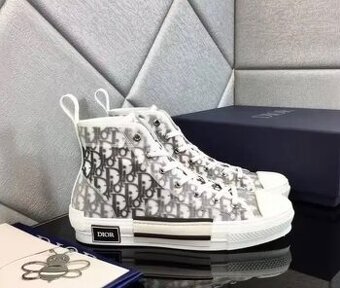 Dior B23 High Top Logo Oblique