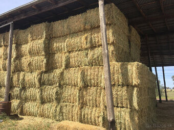 Balíkované seno 2025/ hranate balíky