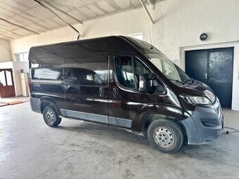 Predam peugeor boxer