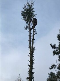 Výškarina, pílenie stromov horolezeckou technikou