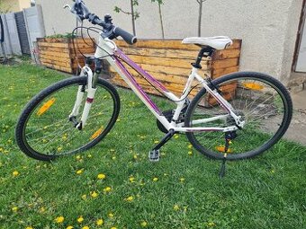 Predám dámsky bicykel Genesis