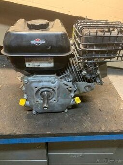 Briggs stratton