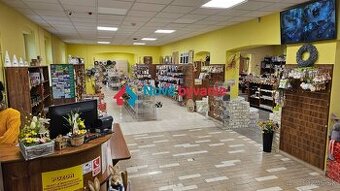 Prenájom, komerčný priestor,290m2, centrum Žiliny (001-28-TO