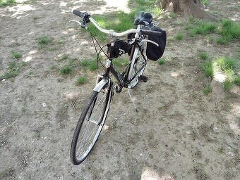 Bicykel Adriatica.