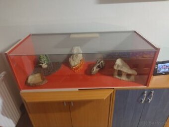 Terarium pre hada