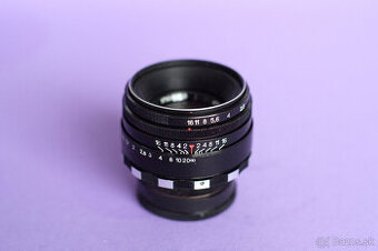 Helios 44-2. Zebra.