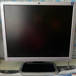 HP L1910 monitor VGA