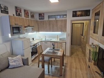 Prenájom veľkometrážnej garzónky Topoľčany-východ