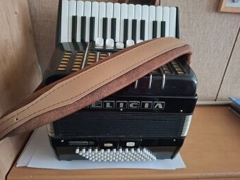 Akordeon DELICIA JUNIOR III,72 basovy