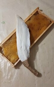 Zmetáky včiel z rámika - 1