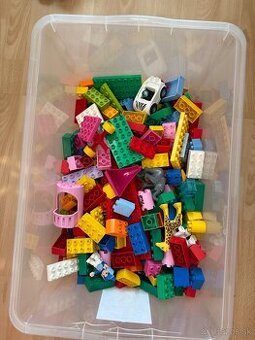 Legi DUPLO