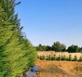 Predám stavebný pozemok od 500 m 2,v Nitre