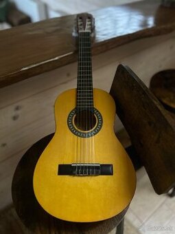 Cestovná gitara