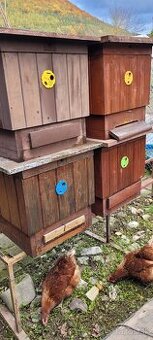 REZERVOVANÉ Predáme veci po včelárovi