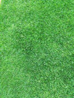 Predám stavebný pozemok 636 m2, obec Banka