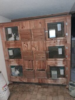 Králikáreň 6 kotercová