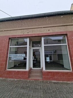 NZ CENTRUM Obchodne priestory na prenájom - 1