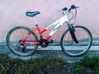 Juniorský bicykel -dural rám 24
