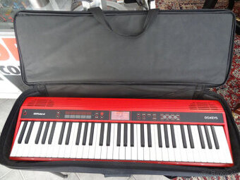 Roland Go:Keys + púzdro