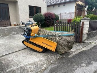 Minidumper Lumag - 1