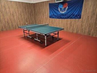 Stolný tenis