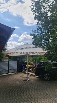 Slnecnik