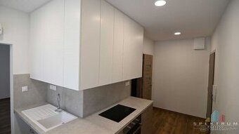 EXKLUZÍVNE- SPEKTRUM REALITY- Na Predaj 1-izbový kompletne r
