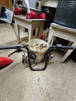 Riadidla manet korado