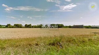 HALO reality - Predaj, orná pôda 8656 m2 Vištuk - EXKLUZÍV
