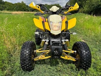 Bashan 250