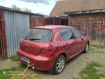 Peugeot 307 - 1