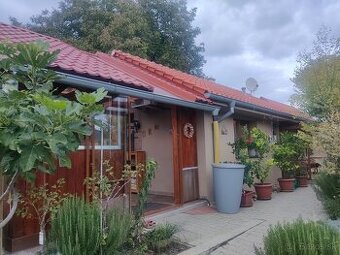 Vidiecky sen s dušou - 1