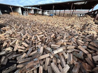 Poctivé palivové drevo Nitra a okolie