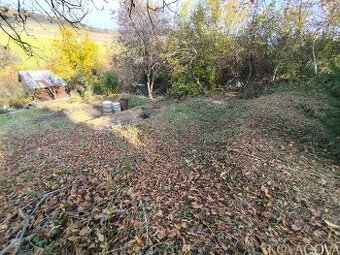 Na predaj pozemok v záhradkárskej oblasti Chrásť, Trenčín – 