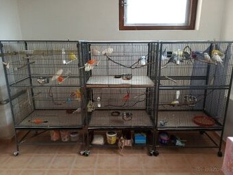 Predám klietku.