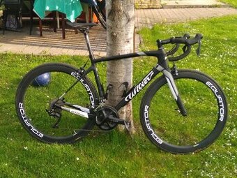 Wilir GTR 2020 (M) - karbon