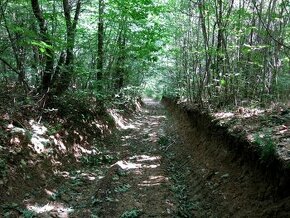 Hľadáme do prenájmu pozemok okolie LV