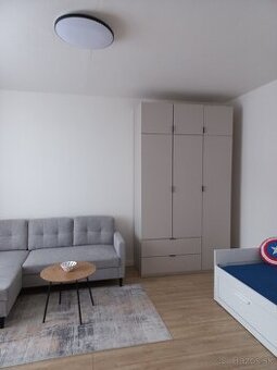 Prenajmem 1 izbový byt v centre KE-Palárikova 3