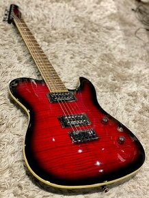 Elektrická gitara Fender Special Edition Series Custom Telec